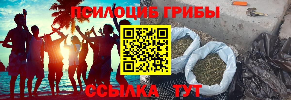 Псилоцибиновые грибы мицелий Красноярск