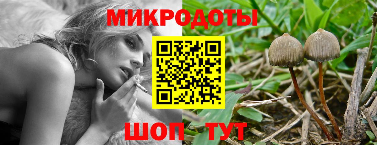 Галлюциногенные грибы Psilocybe  Вход с VPN  Красноярск 